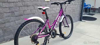 Bicykel Ctm 24" Mony fialovoruzovy - 6