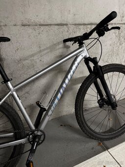 Specialized Rockhopper Expert 29 - 6