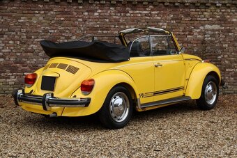 Volkswagen Beetle - 6