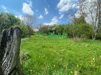 Pozemok v obci Sľažany 3 595 m2 intravilán ID 558-14-MIG - 6