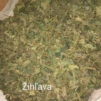 Bylinky (sušené na čaj) - 6