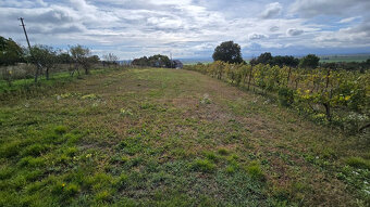 Veľký pozemok v obci Rybník - časť Kráľovka o výmere 3097 m2 - 6