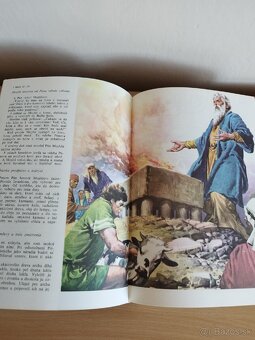 Ilustrovana Biblia. - 6