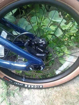 SPECIALIZED P.1 GLOSS deep 20" - 6
