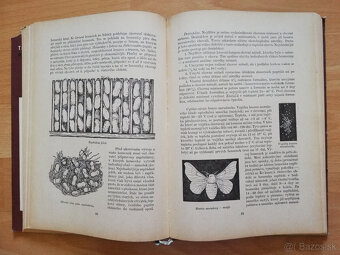 Tisíc dobrých rad mladým včelařum,holubářum.......1960 - 6