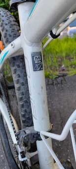 Lapierre Raid 700 (S) - 6