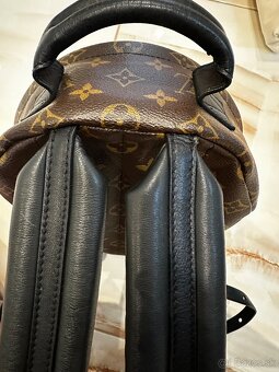 Louis Vuitton palm springs PM - 6
