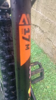 Dema Pegas 17m - 6