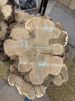 Vysušené agátové koláče / priečne rezy, agát - 6