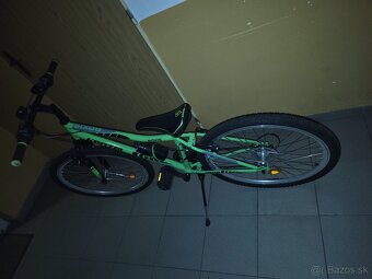 Kenzel Roxis junior 24" - 6