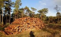 Kosenie Trávy, Krovín, Výrub drevín – Lacno a Kvalitne - 6