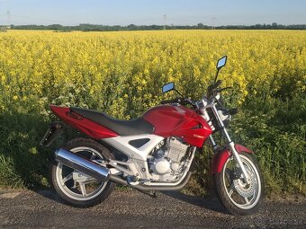 Predám Hondu CBF 250 - 6