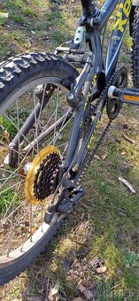 Kellys 20" - 6