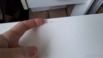 Detský rastúci písací stôl Pahl IKEA - 6