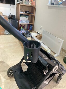 Kocik - 6