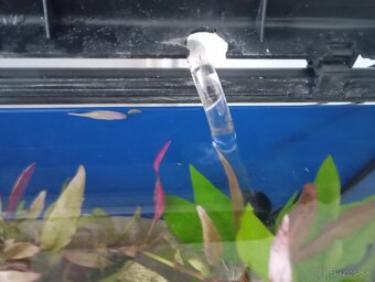 Akvarium 65l zabehnuté. - 6