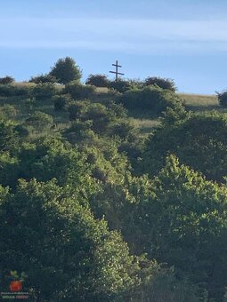 Predaj pozemok v prírode Jedľové Kostoľany - 6
