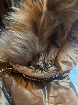 Krásna nová bunda Liu JO - 6