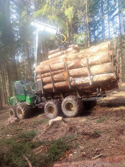 Ťažba dreva a kúpa porastov na pni - 6