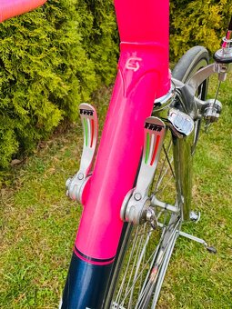 F.Moser Team SLX - 6