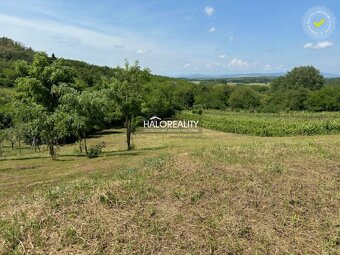 HALO reality - Predaj, rekreačný pozemok Kráľovský Chlmec - - 6