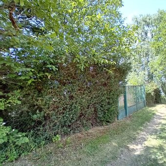Investičný pozemok Levice 3300 m2 -Staré Levice aj chatka - 6