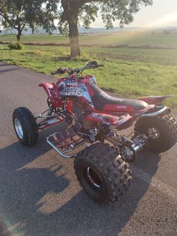 Yamaha raptor 660 customs - 6