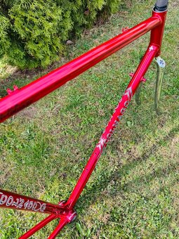 Colnago Esa Mexico Sarroni red - 6