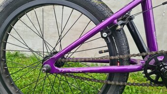 CTM POP 20 Hi-Ten, 2024 - 6