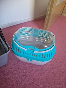 Zakrsly králik levík s modrými očkami - 6