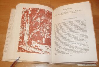 Lovy v Karpatech - 6