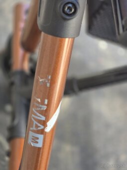 Predam pomocne choditko - 6