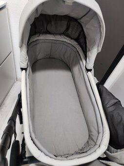 Roan Bloom Ivory - 6