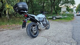 Honda Hornet CB600F (21 000Km) r.v. 2011 - 6