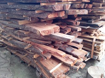 predam suche slivkove fosne - 6