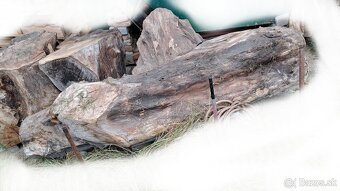 Predam orechove drevo - 6