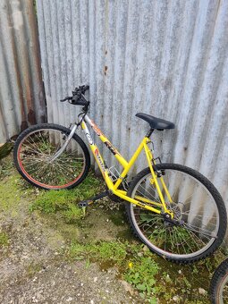 Bicykle (nálezový stav) - 6
