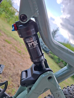 Focus Thron 6.9 29Di L45 Green - 6