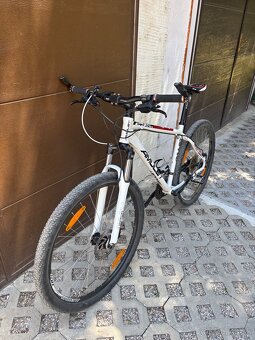 Horský bicykel - AMULET 29” - 6