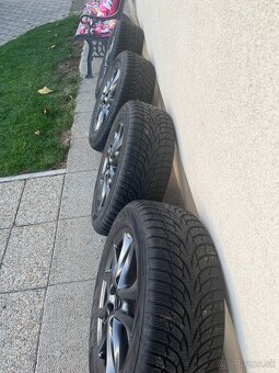 Zimna sada MAZDA R16 - 6