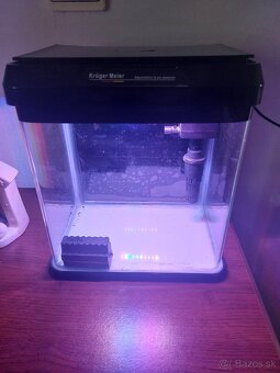 Mini akvárium 7l - 6