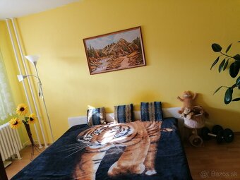 Vymením trojizbový byt - 6