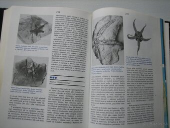 Skameneliny fosílie. - 6