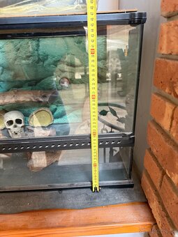Terarium - 6