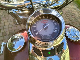 Harley Davidson Heritage Softail - 6