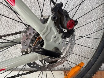 ctm rein 3.0 - L - 29" - 6