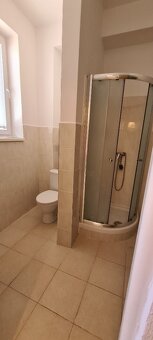 Prenajmeme veľký  1 izb byt v Šali - 6