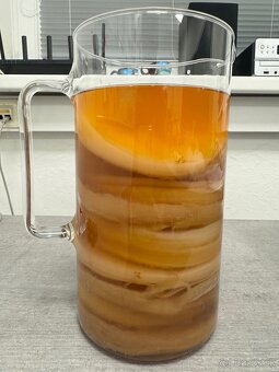 ČAJOVÁ HUBA - KOMBUCHA - 6