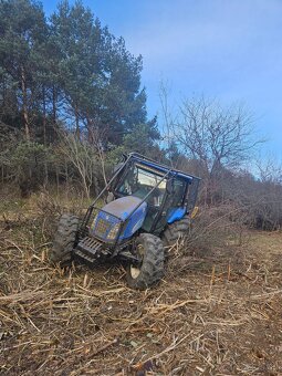 Frézovanie kríkov - 6