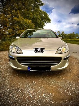 Peugeot 407 2.0 HDI - 6